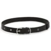 Matt & Nat Paro Belt(Matt And Nat Paro Belt Women Co)