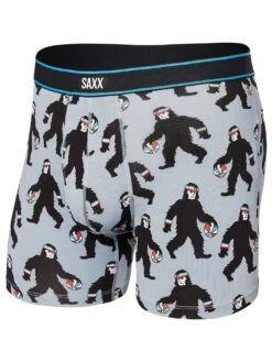 Daytripper Brief Boxer(Saxx Daytripper Brief Boxer Harry Co)