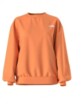 Evolution Crewneck(The North Face Evolution Crewneck Sp25) -ThinkEmpire Shop tnf NF0A84GX0TO