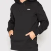 Core Basic Hoodie(Vans Core Basic Hoodie Co)